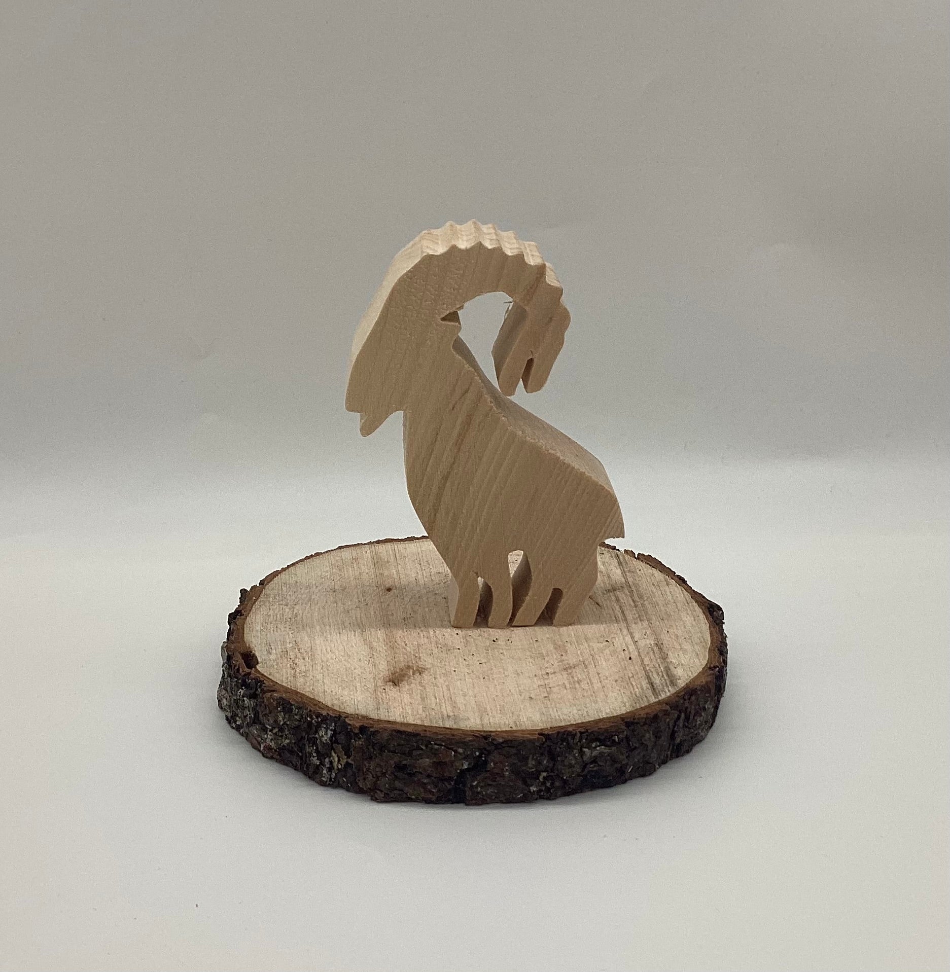 Zirbensteinbock auf Zirbanast