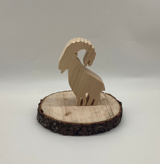 Zirbensteinbock auf Zirbanast