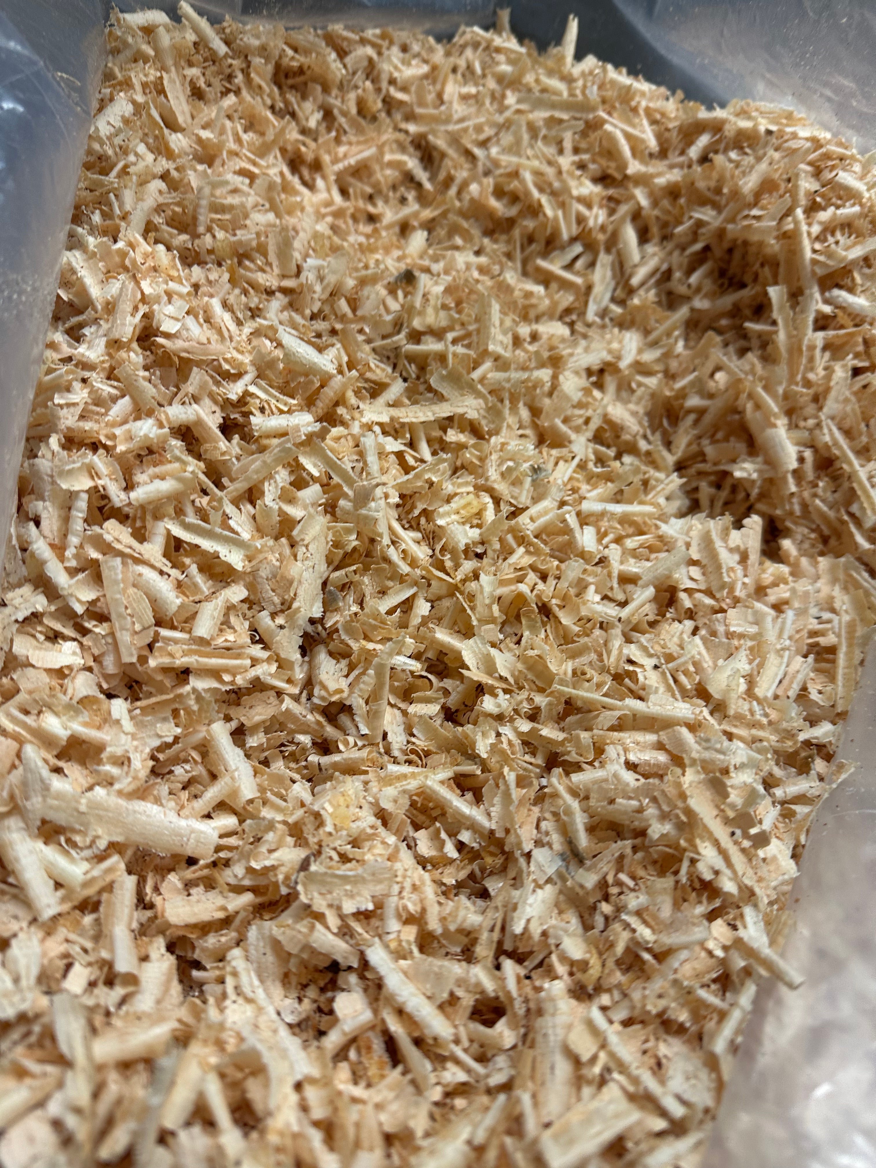 Zirbenspäne Nachfüllpack für 50/30, 40/60 und 40/80